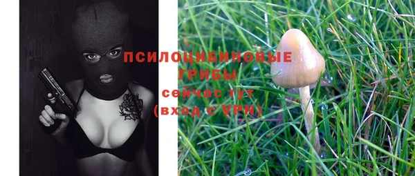 прущие крисы Алексин