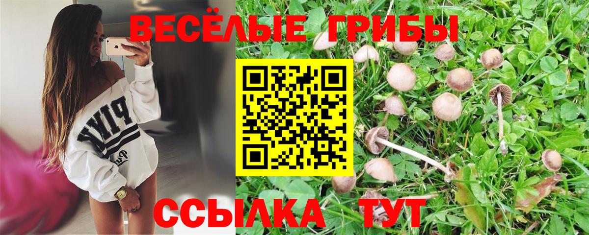 Псилоцибиновые грибы MAGIC MUSHROOMS Тейково